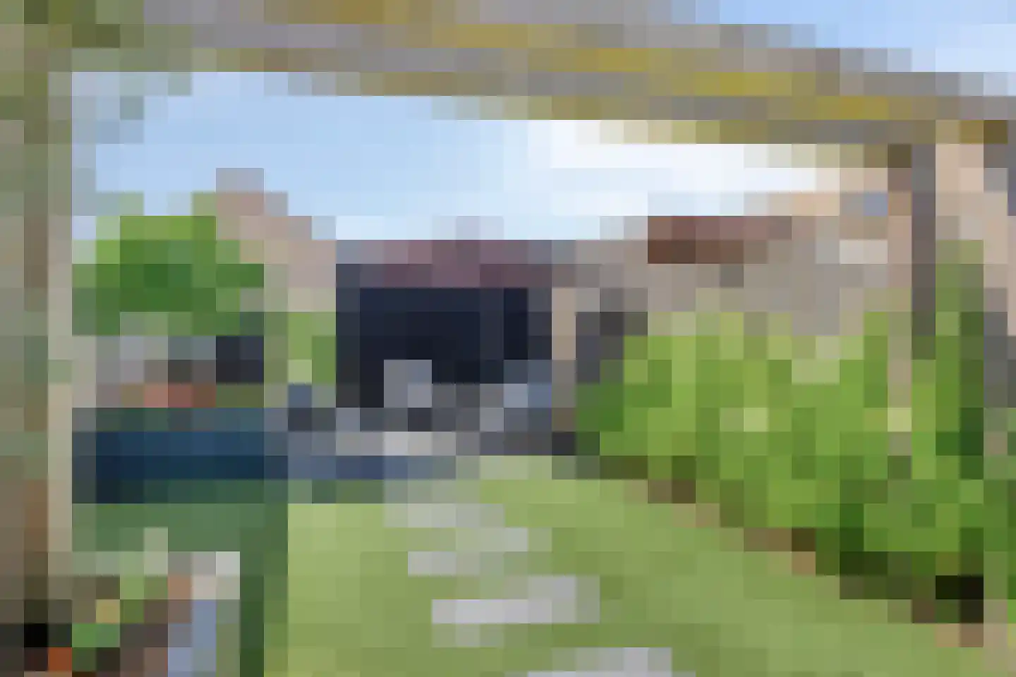 Fluitenkruid 40 's-Hertogenbosch thumbnail 24