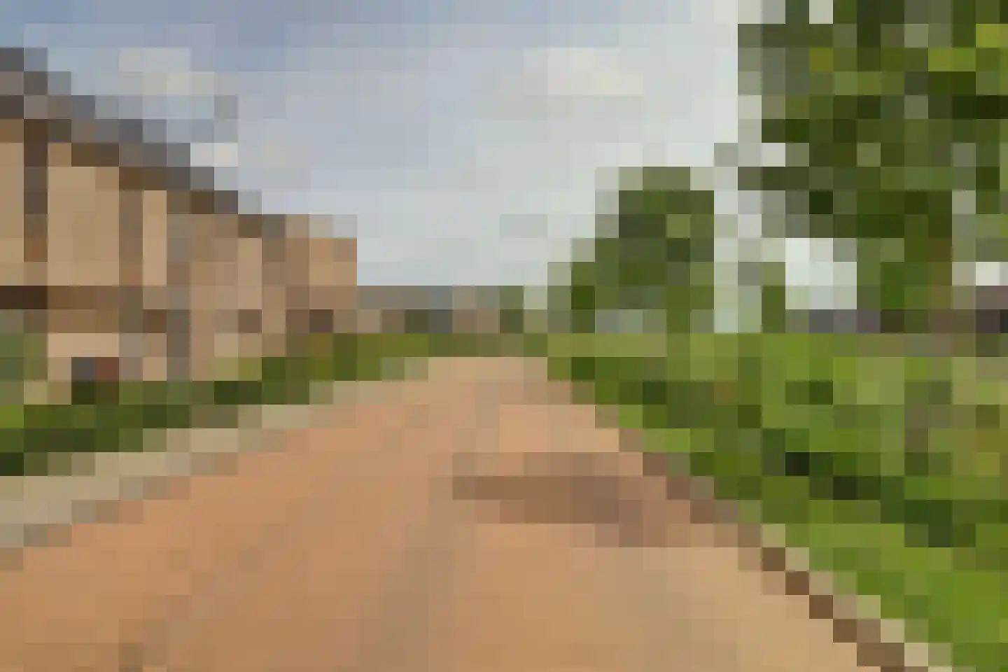 Fluitenkruid 40 's-Hertogenbosch thumbnail 31