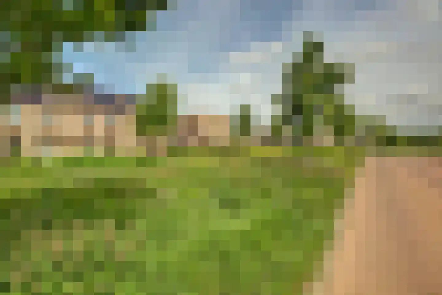 Fluitenkruid 40 's-Hertogenbosch thumbnail 32