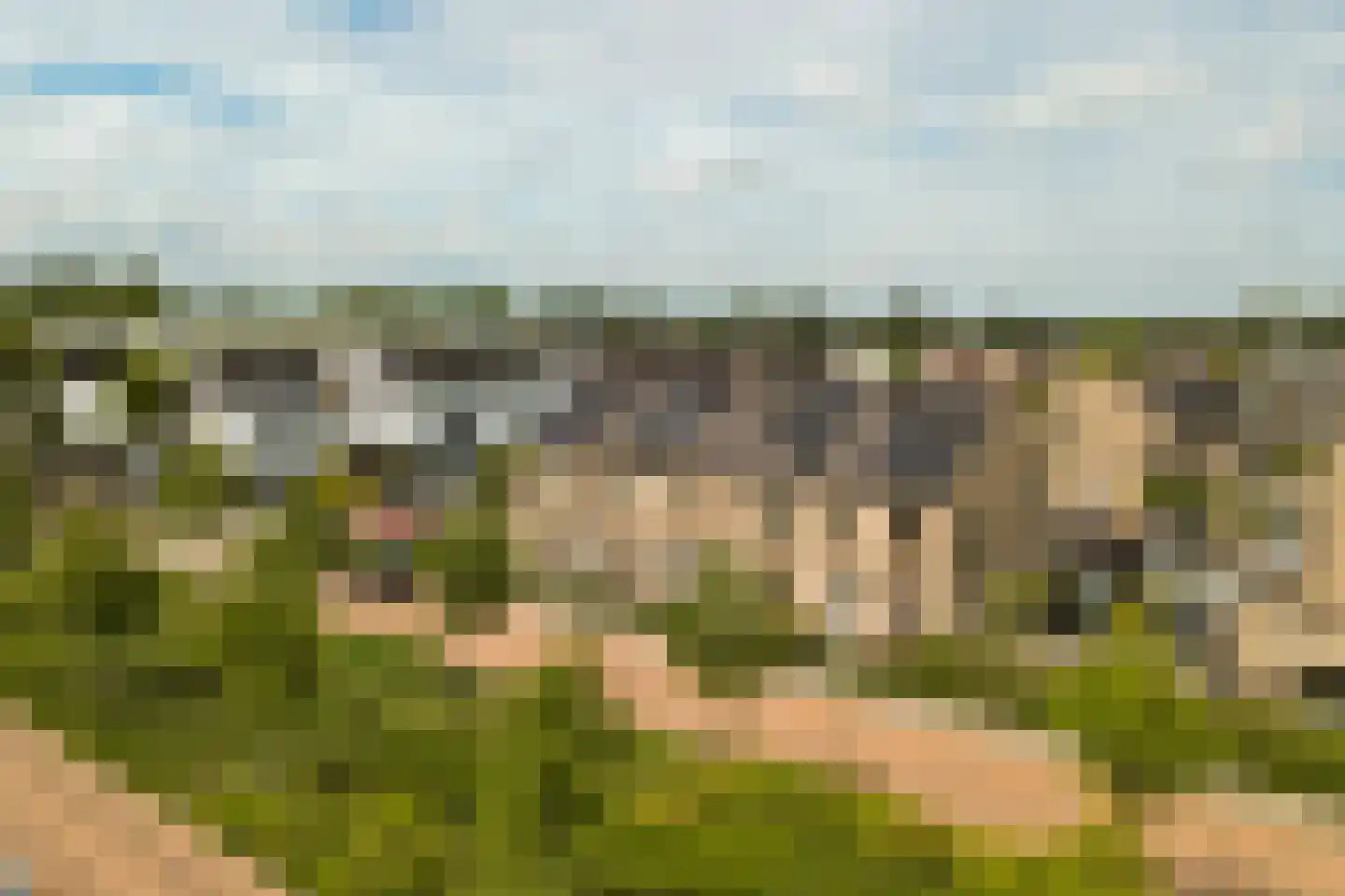 Fluitenkruid 40 's-Hertogenbosch thumbnail 33