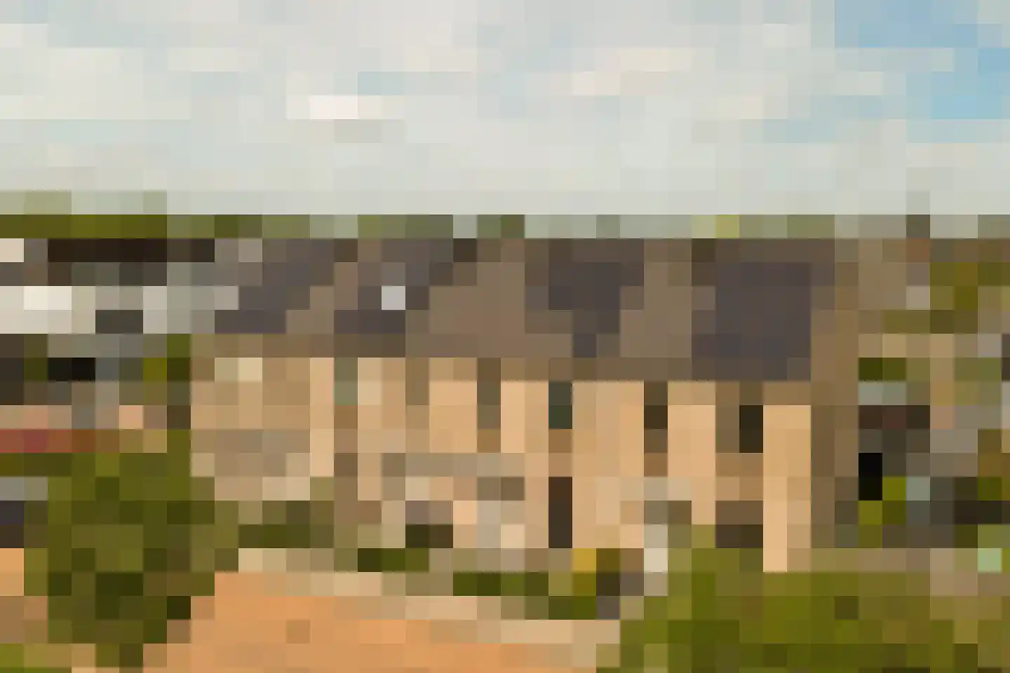 Fluitenkruid 40 's-Hertogenbosch thumbnail 34