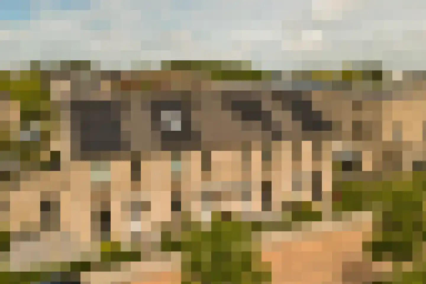 Fluitenkruid 40 's-Hertogenbosch thumbnail 35