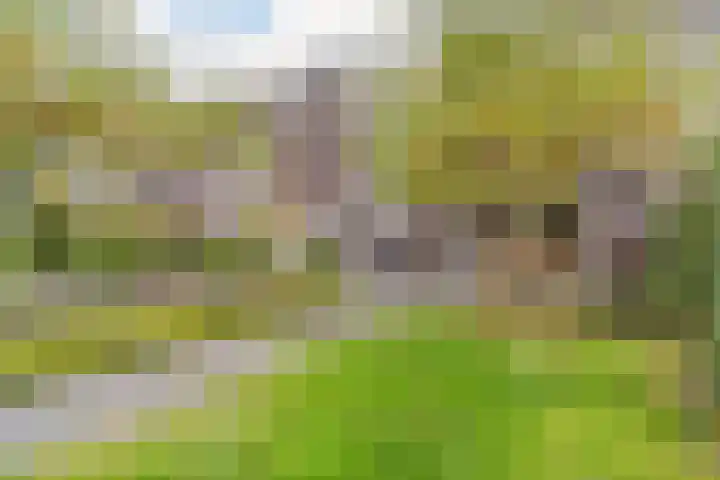 Fluitenkruid 6 Gorinchem thumbnail 23