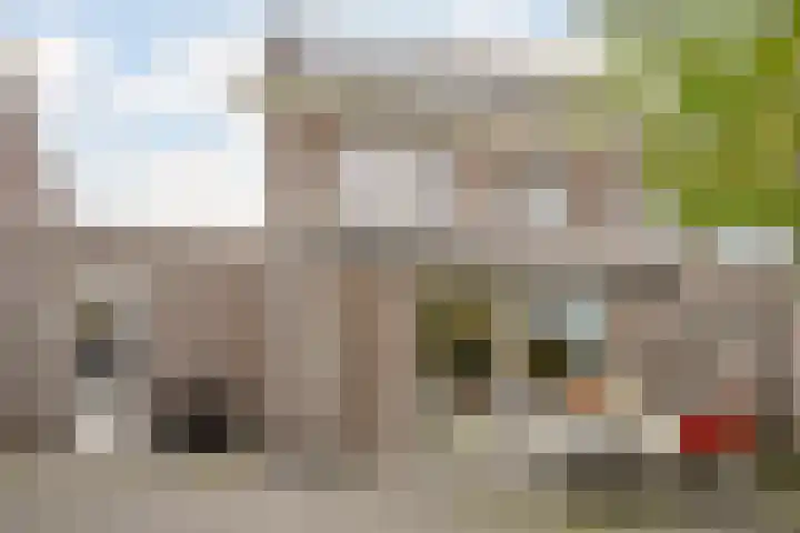 Fluitenkruid 6 Gorinchem thumbnail 24