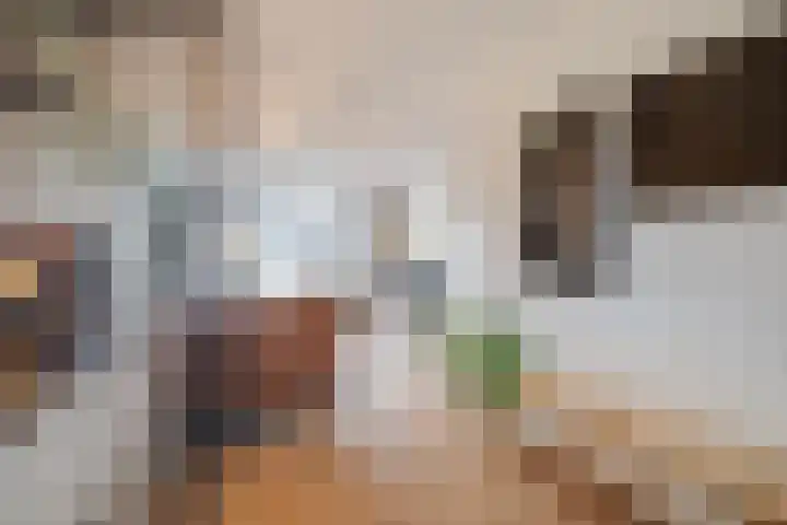 Fluitenkruid 6 Klarenbeek thumbnail 11