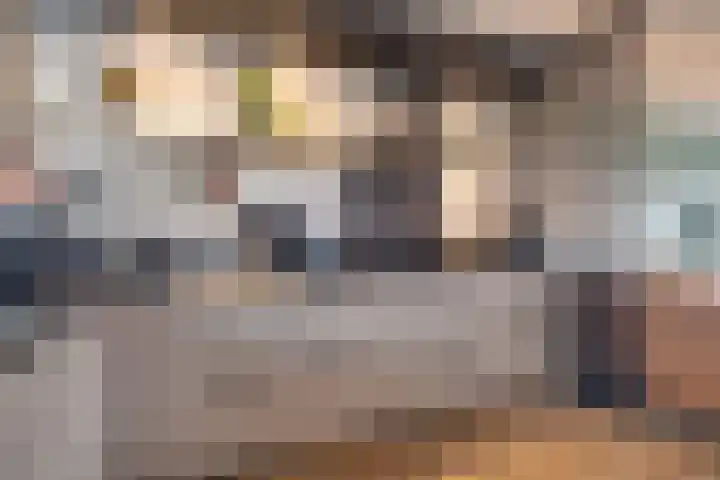 Fluitenkruid 6 Klarenbeek thumbnail 13