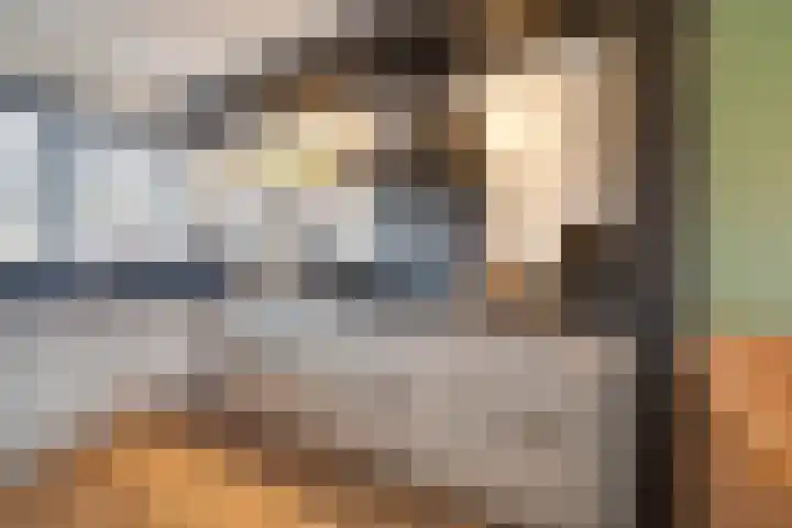 Fluitenkruid 6 Klarenbeek thumbnail 15
