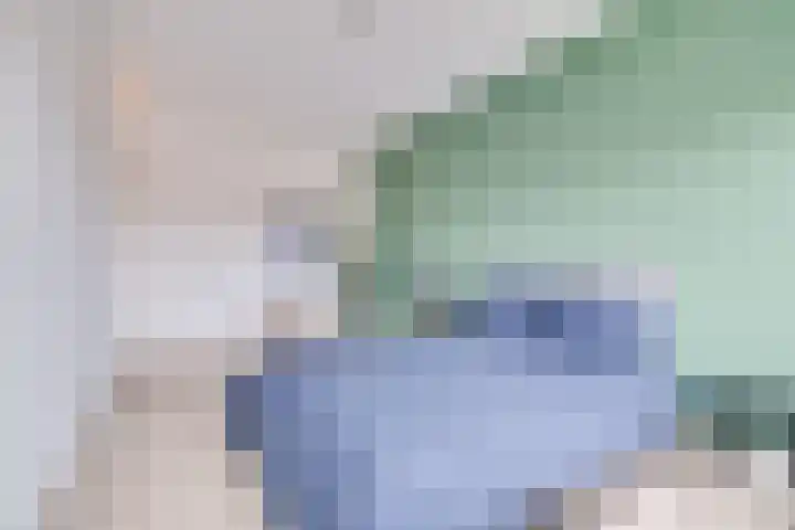 Fluitenkruid 6 Klarenbeek thumbnail 21