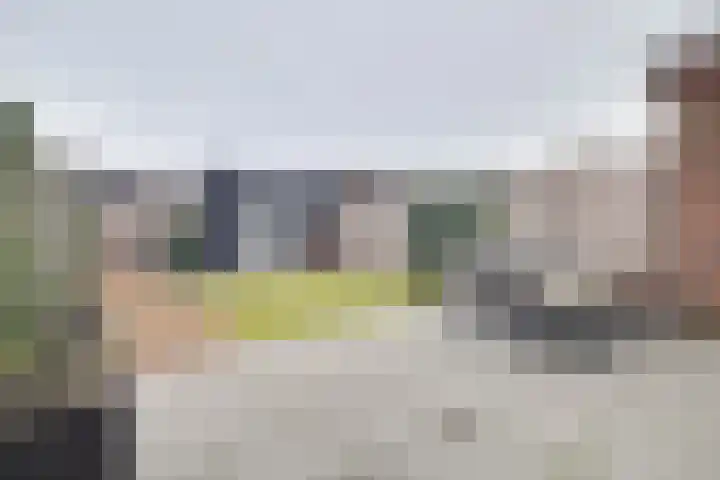 Fluitenkruid 6 Klarenbeek thumbnail 30