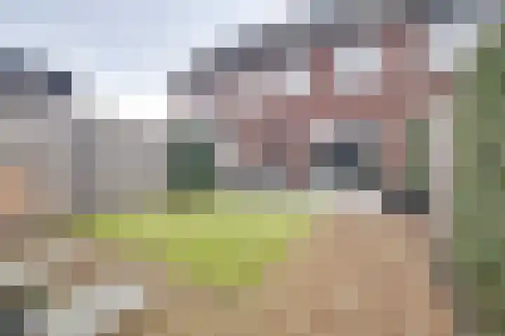 Fluitenkruid 6 Klarenbeek thumbnail 31
