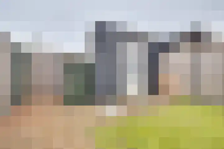 Fluitenkruid 6 Klarenbeek thumbnail 32