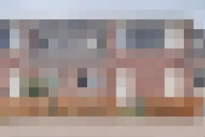 Fluitenkruid 6 Klarenbeek thumbnail 33