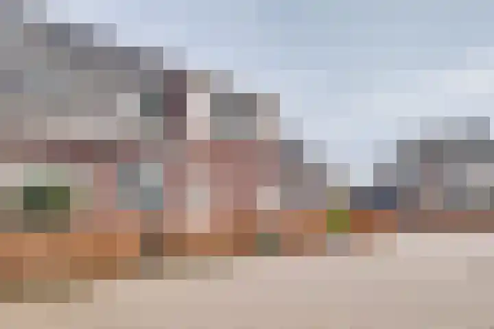 Fluitenkruid 6 Klarenbeek thumbnail 34