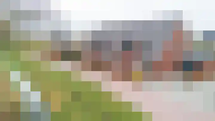 Fluitenkruid 6 Klarenbeek thumbnail 36
