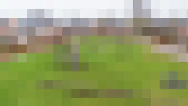 Fluitenkruid 6 Klarenbeek thumbnail 37