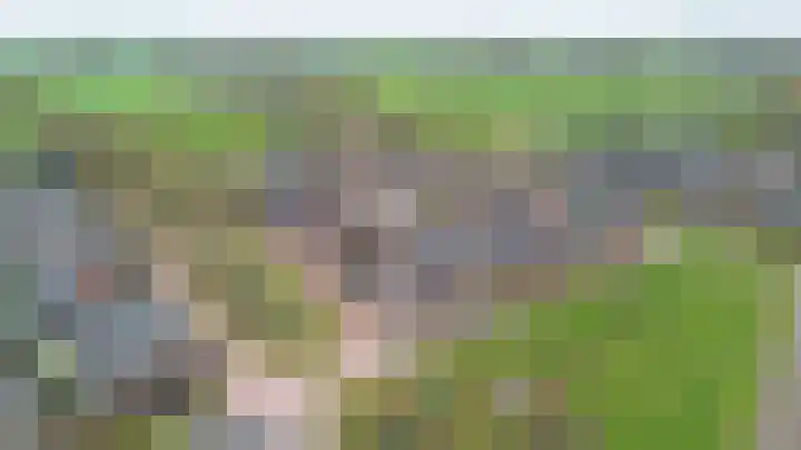 Fluitenkruid 6 Klarenbeek thumbnail 38