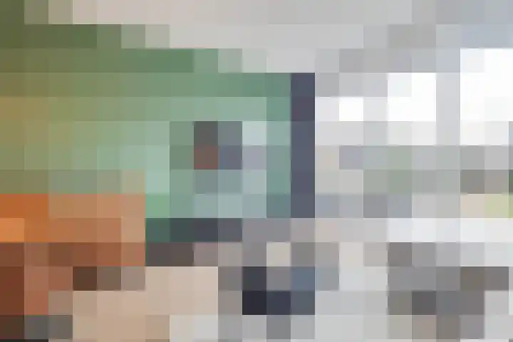 Fluitenkruid 6 Klarenbeek thumbnail 4