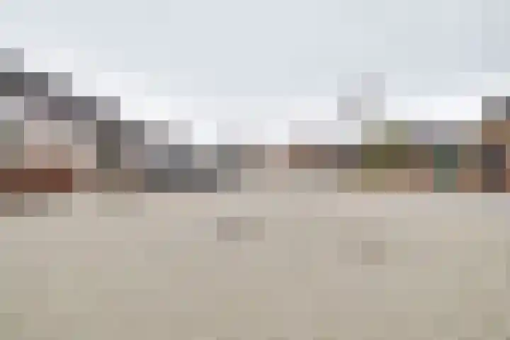 Fluitenkruid 6 Klarenbeek thumbnail 40