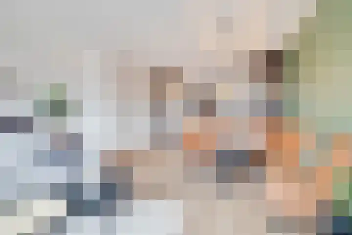 Fluitenkruid 6 Klarenbeek thumbnail 8