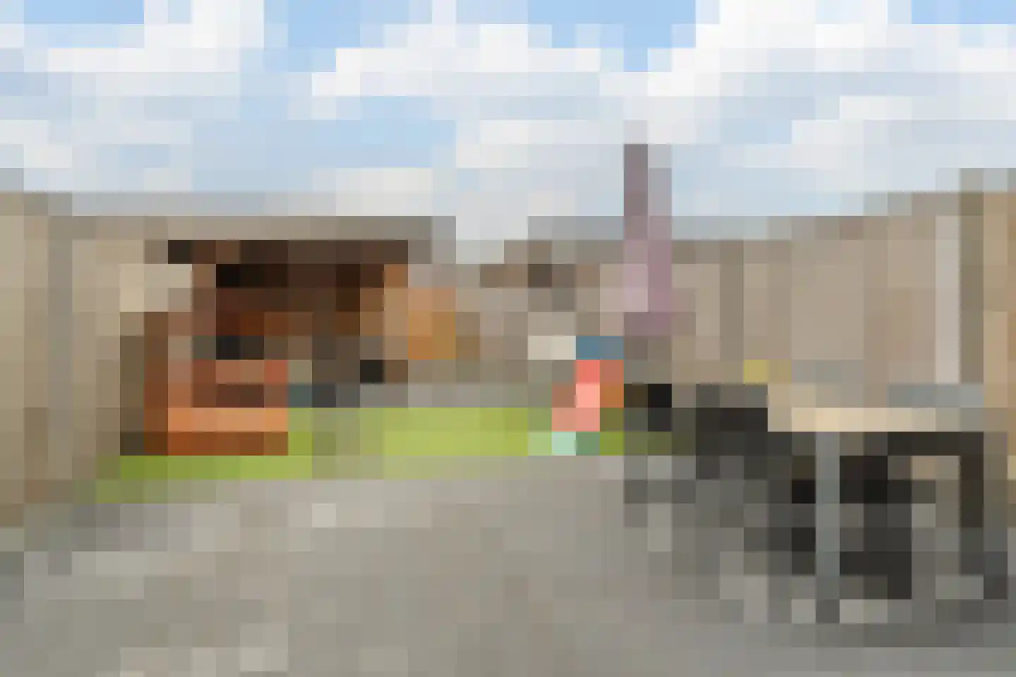 Fluitenkruid 7 Gorinchem thumbnail 18