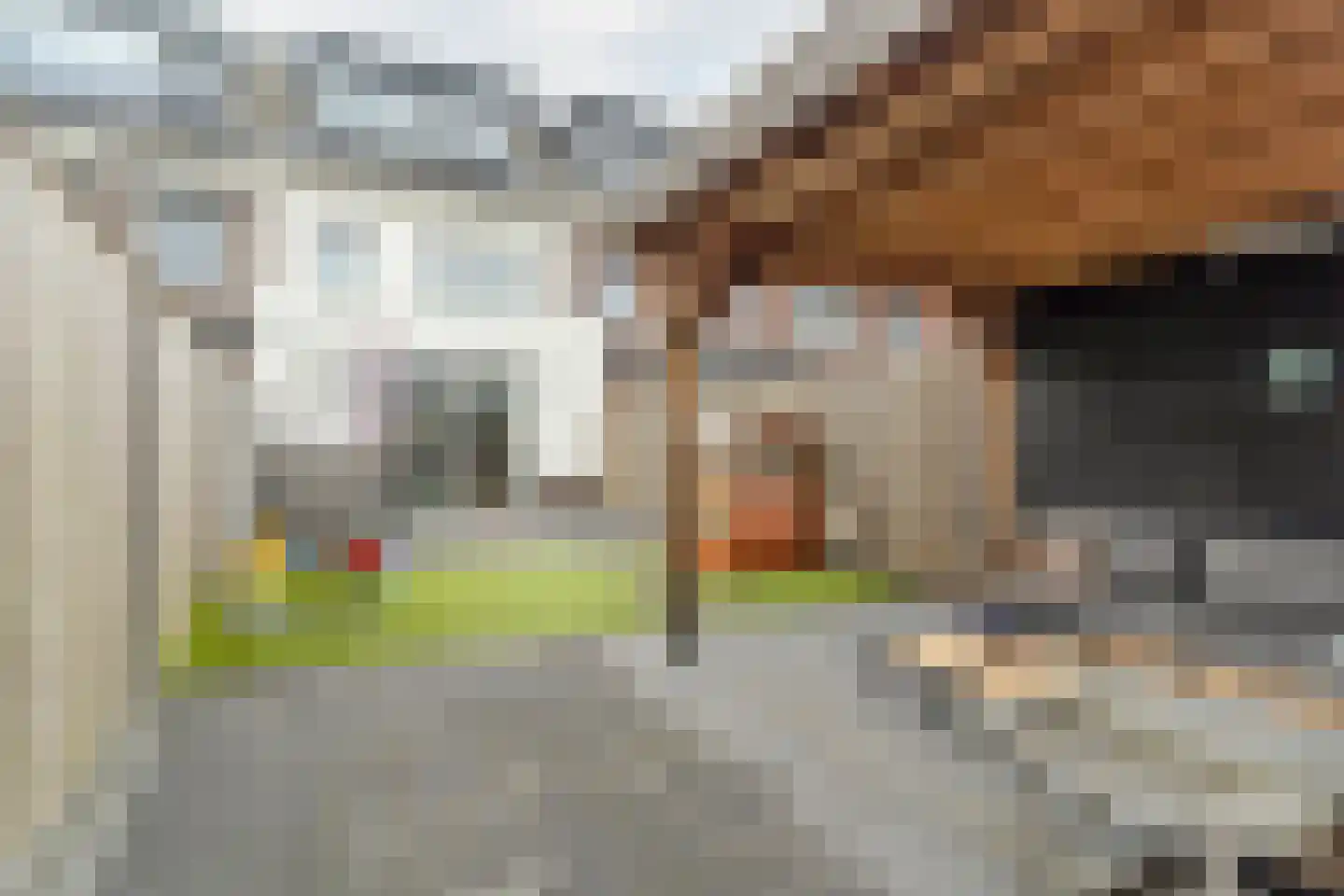 Fluitenkruid 7 Gorinchem thumbnail 20
