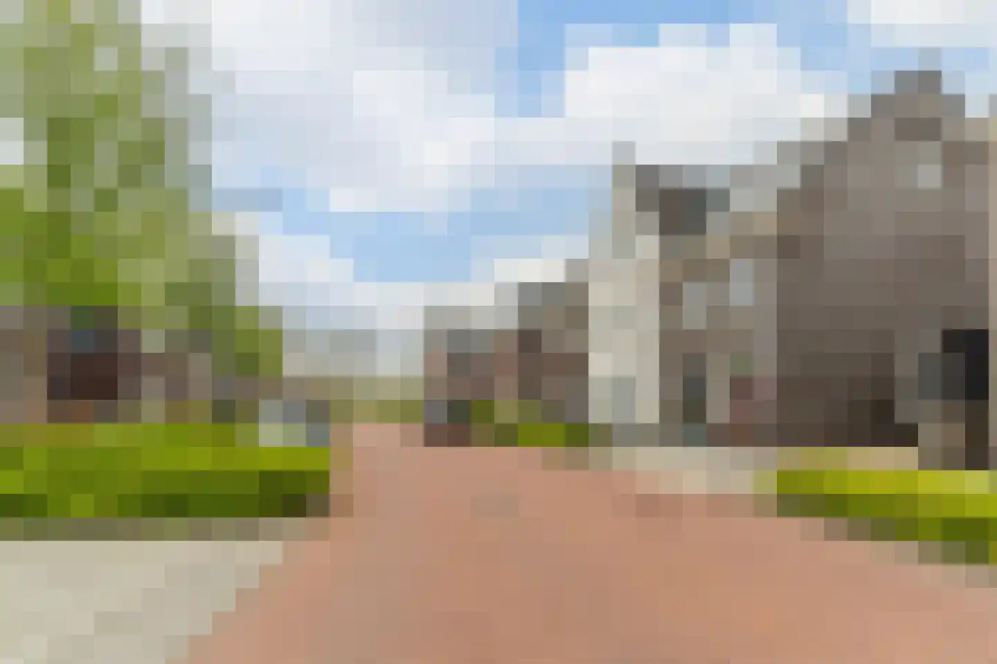 Fluitenkruid 7 Gorinchem thumbnail 21