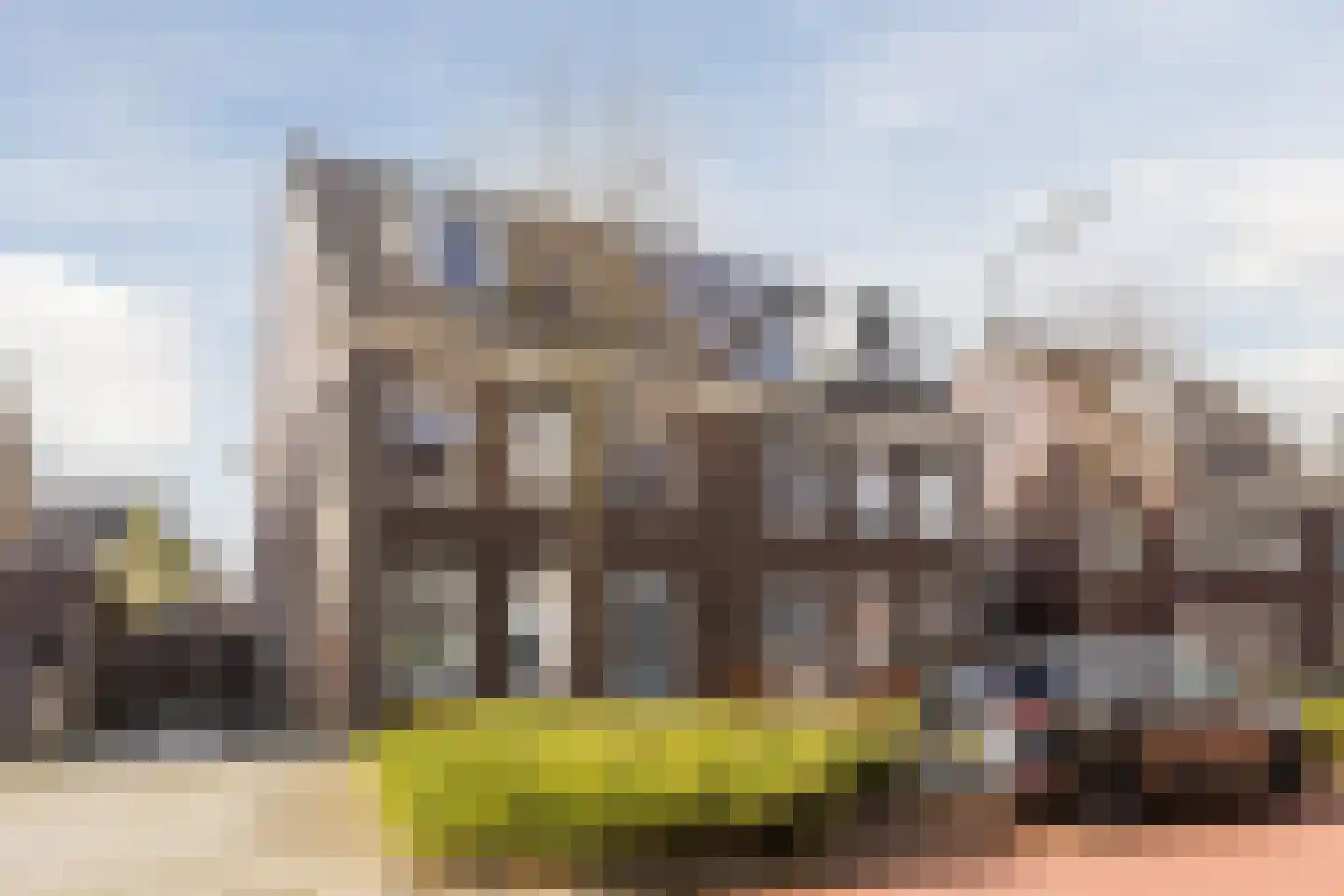 Fluitenkruid 8 Gorinchem
