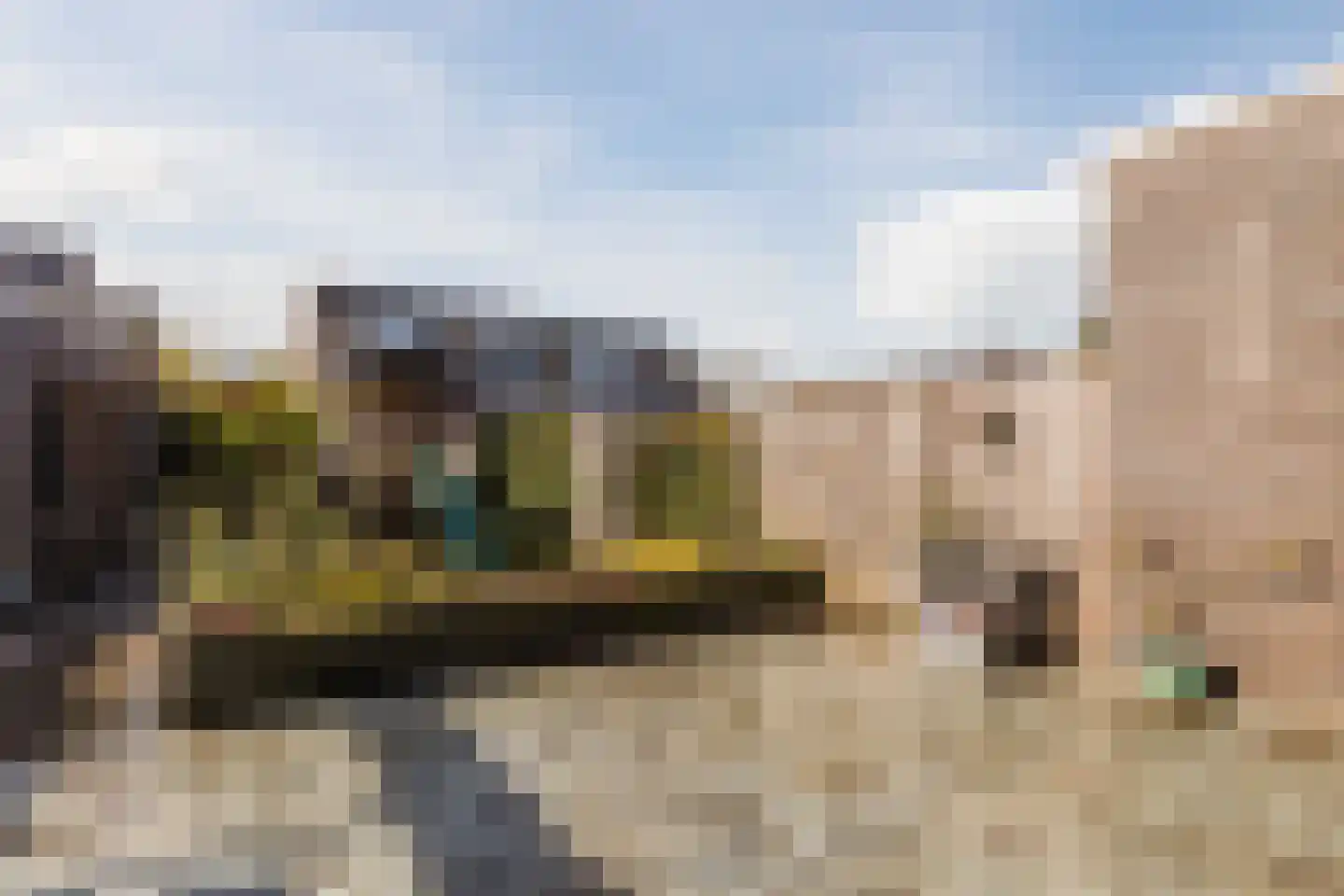 Fluitenkruid 8 Gorinchem thumbnail 22