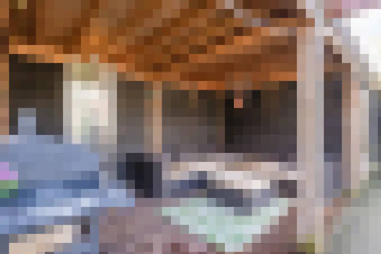 Fluitenkruid 8 Gorinchem thumbnail 23