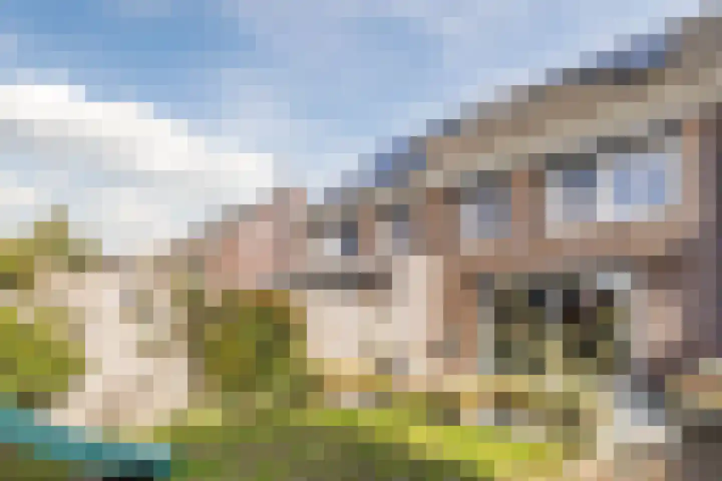 Fluitenkruid 8 Gorinchem thumbnail 24