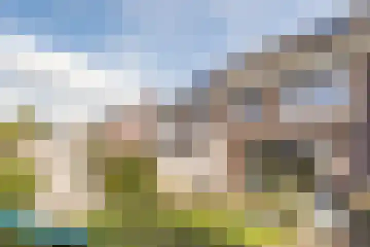 Fluitenkruid 8 Gorinchem thumbnail 24