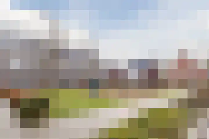Fluitenkruid 8 Gorinchem thumbnail 27