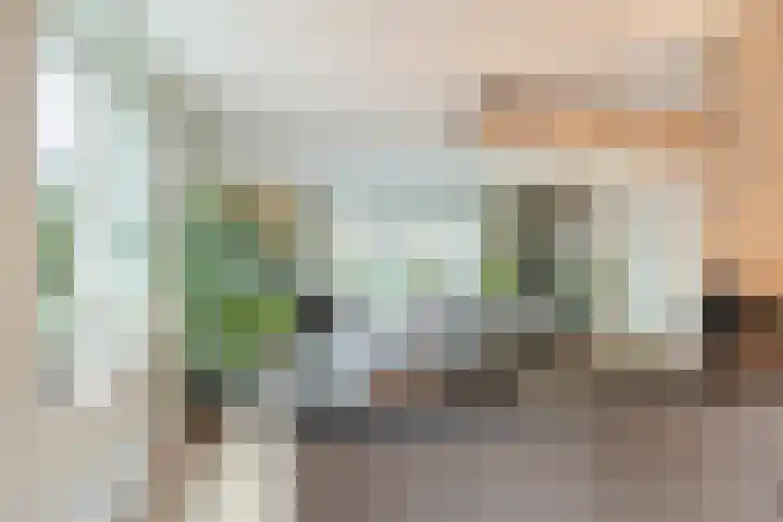 Fluitenkruid 8 Gorinchem thumbnail 8