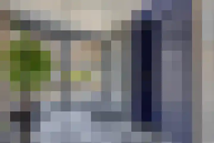 Fluiterlaan 210 Capelle aan den IJssel thumbnail 11