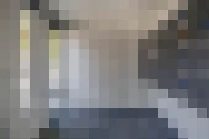 Fluiterlaan 210 Capelle aan den IJssel thumbnail 12
