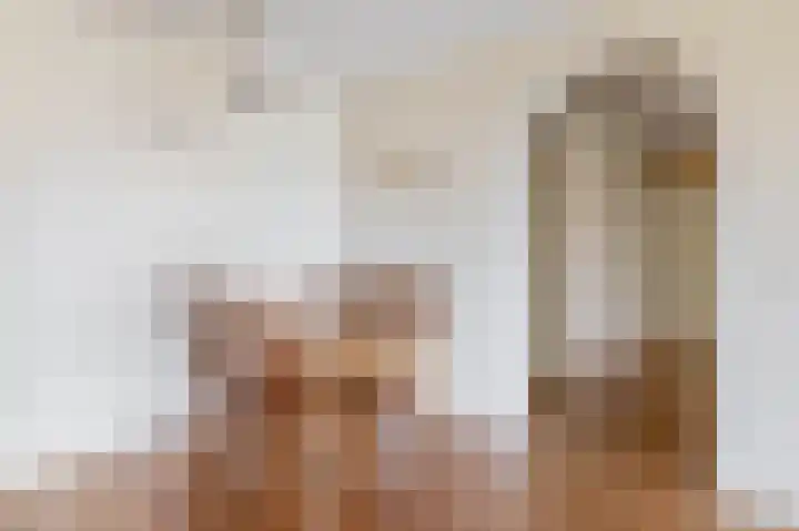 Fluiterlaan 210 Capelle aan den IJssel thumbnail 20