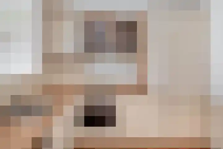 Fluiterlaan 210 Capelle aan den IJssel thumbnail 21
