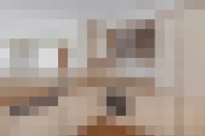 Fluiterlaan 210 Capelle aan den IJssel thumbnail 22