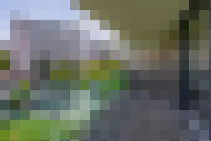Fluiterlaan 210 Capelle aan den IJssel thumbnail 24