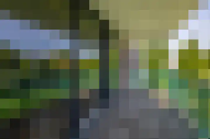 Fluiterlaan 210 Capelle aan den IJssel thumbnail 25