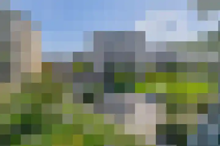 Fluiterlaan 210 Capelle aan den IJssel thumbnail 27