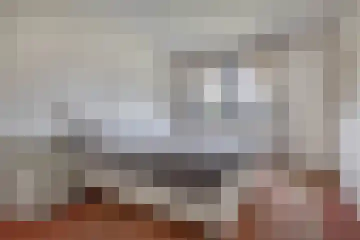 Fluiterlaan 210 Capelle aan den IJssel thumbnail 28