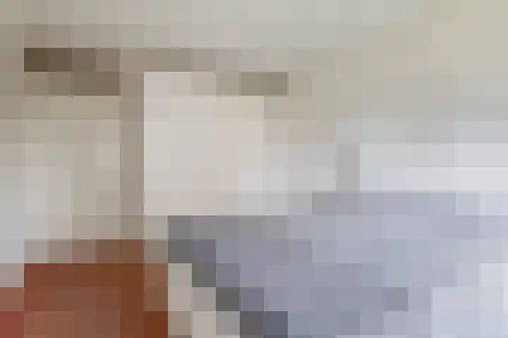 Fluiterlaan 210 Capelle aan den IJssel thumbnail 29
