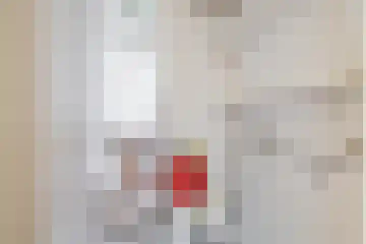 Fluiterlaan 210 Capelle aan den IJssel thumbnail 33