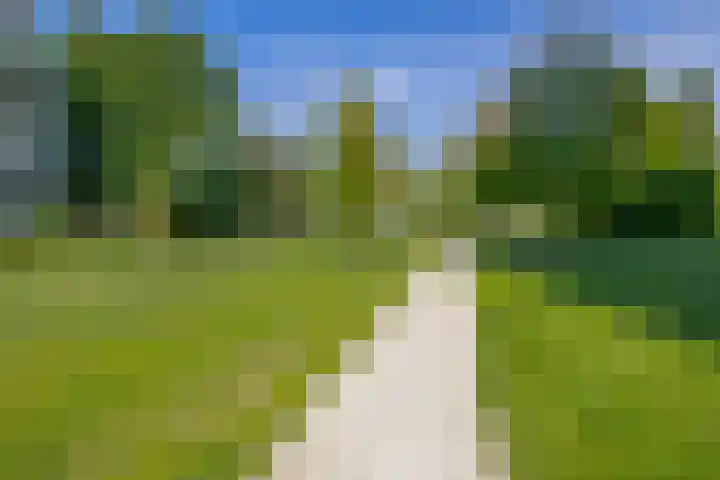 Fluiterlaan 210 Capelle aan den IJssel thumbnail 35