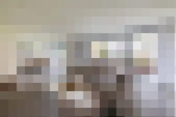 Fluiterlaan 246 Capelle aan den IJssel thumbnail 10