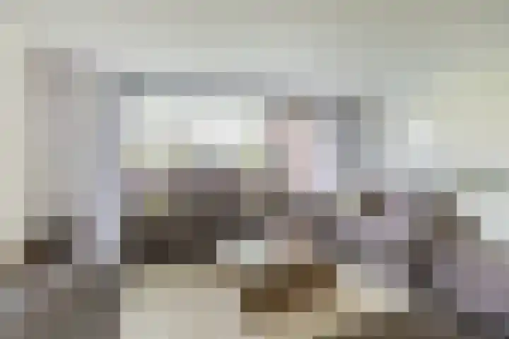 Fluiterlaan 246 Capelle aan den IJssel thumbnail 11