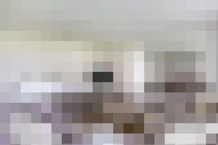 Fluiterlaan 246 Capelle aan den IJssel thumbnail 12