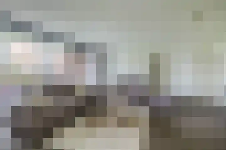 Fluiterlaan 246 Capelle aan den IJssel thumbnail 13