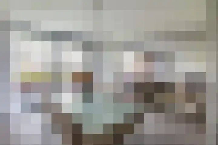Fluiterlaan 246 Capelle aan den IJssel thumbnail 15